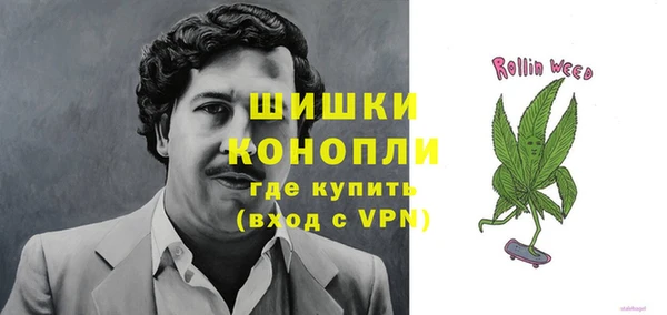 прущие грибы Богородск