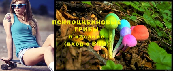 прущий лед Богданович