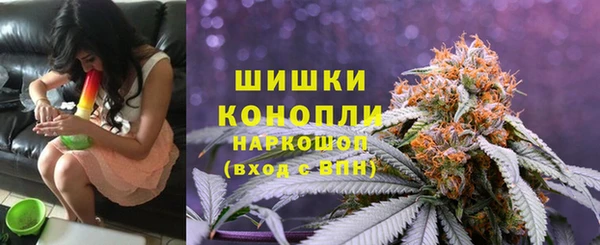 шишки Бородино