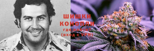 прущие грибы Богородск