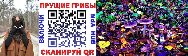 Псилоцибиновые грибы Cubensis  Гусев 