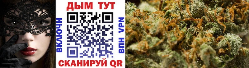 где продают   Гусев  Бошки Шишки планчик 